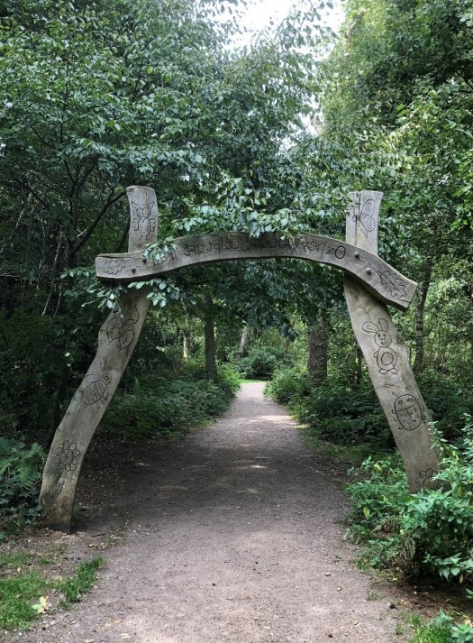 Dog_walking walkmefeedme oxhey 1