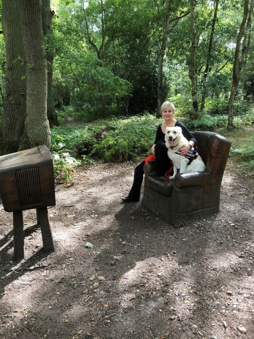 Dog_walking WalkMeFeedMe Oxhey 5