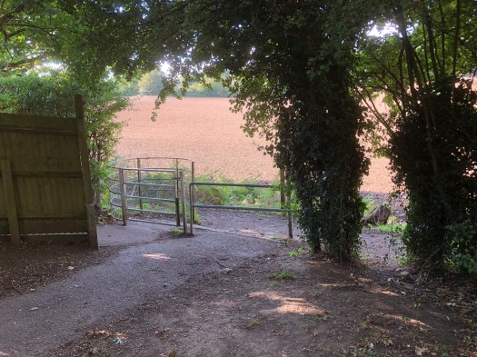 Northern edge of the Park