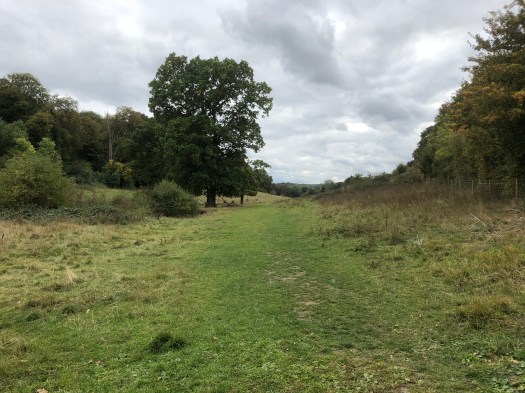 WalkMeFeedMe Dog_Walking #7