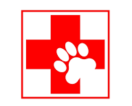 Qualified Pet First Aiders